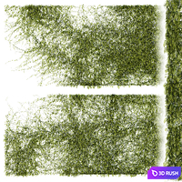 Leaves for walls v2 3D Model Vray, Corona