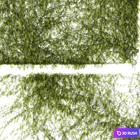 Leaves for walls v2 3D Model Vray, Corona