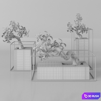Plants tree 33 bonsai 3D Model Vray