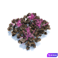 Geiger 3D Model Vray, Corona