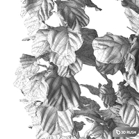 Ficus Lyrata 3D Model Vray, Corona