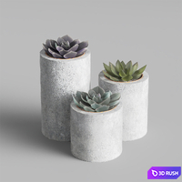 Succulents in the KRAPIVA pots. 3D Model Corona