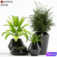 Plants collection 133 Westelm Modern Planters 3D Model Vray, Corona