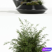 Plants collection 133 Westelm Modern Planters 3D Model Vray, Corona