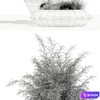 Plants collection 133 Westelm Modern Planters 3D Model Vray, Corona