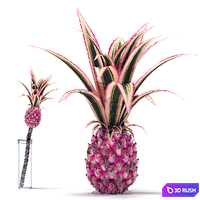 Decorative Pink Pineapple 3D Model Vray
