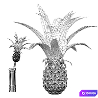 Decorative Pink Pineapple 3D Model Vray