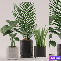 Plants 108 3D Model Vray