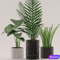 Plants 108 3D Model Vray