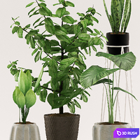 Plants 109 3D Model Vray