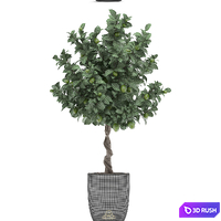 Plant collection 273. Citrus lime, Lemon tree, citrus, fruit tree, flowerpot, pot, outdoor, garden, park, landscaping, eco 3D Model Vray