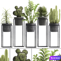 Plant collection 314. Small plants, pot, cactus, rapis, aloe, cireus, indoor, stand, concrete, pot, loft, Zamioculcas, Raphis Palm 3D Model Vray