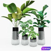 Plant collection 3D Model Vray