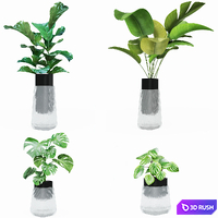 Plant collection 3D Model Vray