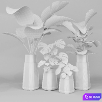 Plant collection 3D Model Vray