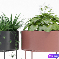Plant box round 3D Model Vray, Corona