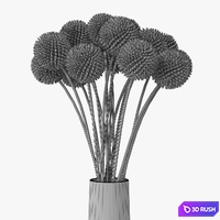 Craspedia 3D Model Vray