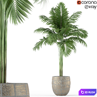 Plants collection 220 3D Model Vray