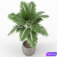 Plants collection 220 3D Model Vray