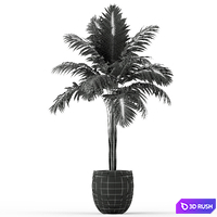 Plants collection 220 3D Model Vray