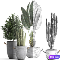 Collection of small plants in black concrete pots from Ravenala, concrete flowerpot, Cereus, cactus, oleander. Set 434. 3D Model Vray