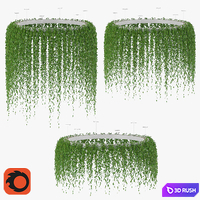 Hanging plants v2 (Corona) 3D Model Corona