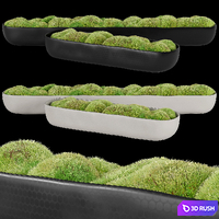 Rh_organic_sculpted_trough 3D Model Vray, Corona