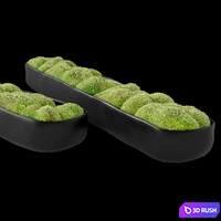 Rh_organic_sculpted_trough 3D Model Vray, Corona