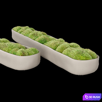 Rh_organic_sculpted_trough 3D Model Vray, Corona