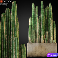 Plants collection 260 3D Model Vray, Corona