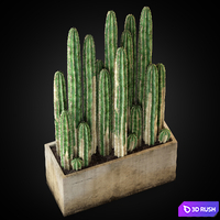 Plants collection 260 3D Model Vray, Corona