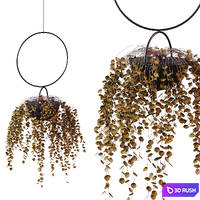 Hanging Planter Plant # 2 / BLUMENKUGEL EDITION 3D Model Corona