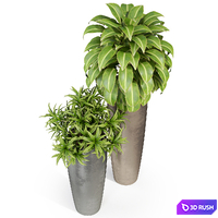 Plants collection 283 Fleurami ROYAL 3D Model Vray, Corona