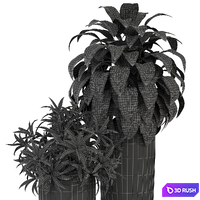 Plants collection 283 Fleurami ROYAL 3D Model Vray, Corona