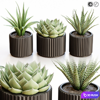 Flowerpots in black pots 3D Model Vray, Corona