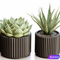 Flowerpots in black pots 3D Model Vray, Corona