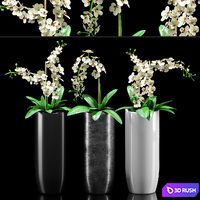 Plants 216 3D Model Vray