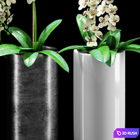 Plants 216 3D Model Vray