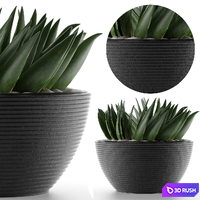 House Plant 23 3D Model Vray, Corona