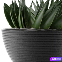 House Plant 23 3D Model Vray, Corona