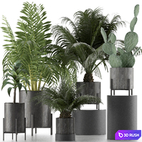 Plants Collection 28 3D Model Vray, Corona