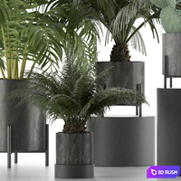 Plants Collection 28 3D Model Vray, Corona