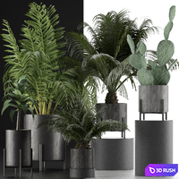 Plants Collection 28 3D Model Vray, Corona
