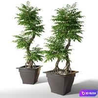 Large artificial tree Fruticosa 3D Model Vray