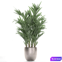 A collection of beautiful decorative palms in stylish pots with Howea forsteriana, Neanta palm. Set 696. 3D Model Vray
