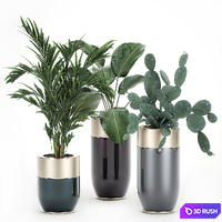Collection of plants in beautiful Godwin Longhi pots with Palm, Cactus, Calathea lutea, Hovea, Prickly pear . Set 704. 3D Model Vray