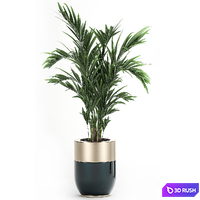 Collection of plants in beautiful Godwin Longhi pots with Palm, Cactus, Calathea lutea, Hovea, Prickly pear . Set 704. 3D Model Vray