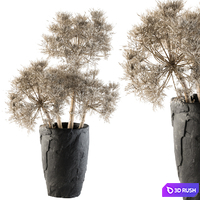 Dry plants 32 - Dried Plant 3D Model Vray, Corona
