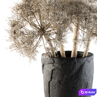 Dry plants 32 - Dried Plant 3D Model Vray, Corona