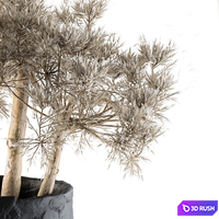 Dry plants 32 - Dried Plant 3D Model Vray, Corona